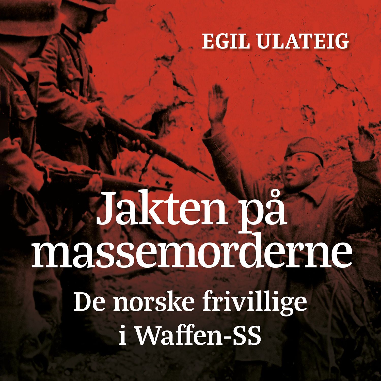 Jakten på massemorderne - en dokumentarbok
