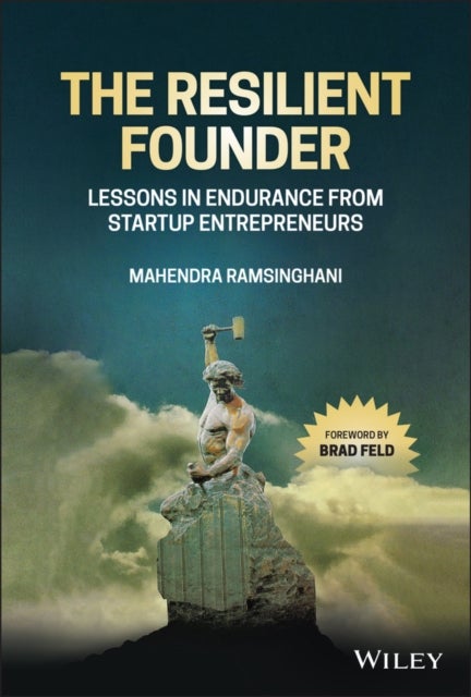 The Resilient Founder – Lessons in Endurance from Startup Entrepreneurs - Lessons in Endurance from Startup Entrepreneurs