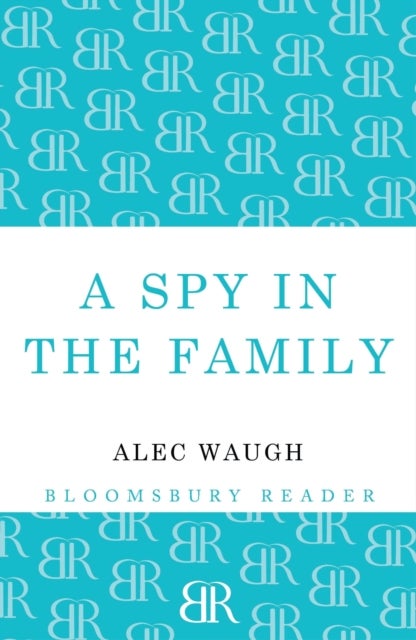 Spy in the Family - An Erotic Comedy