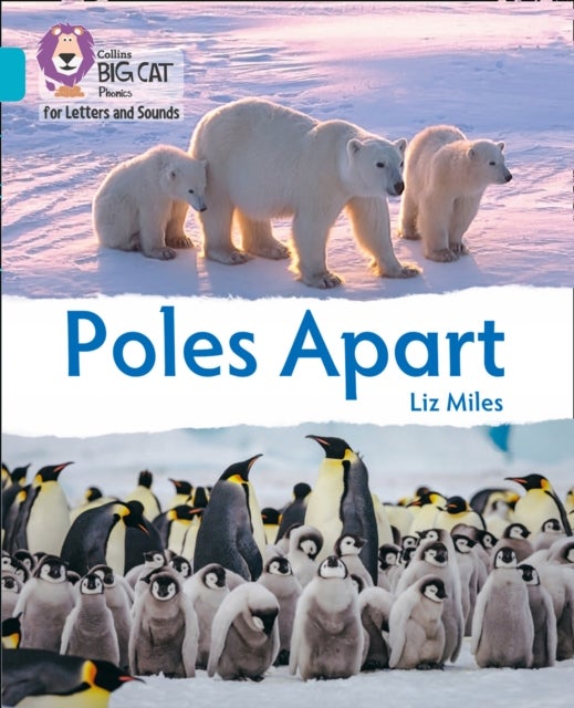 BIG CAT L&S_POLES APART - Band 07/Turquoise