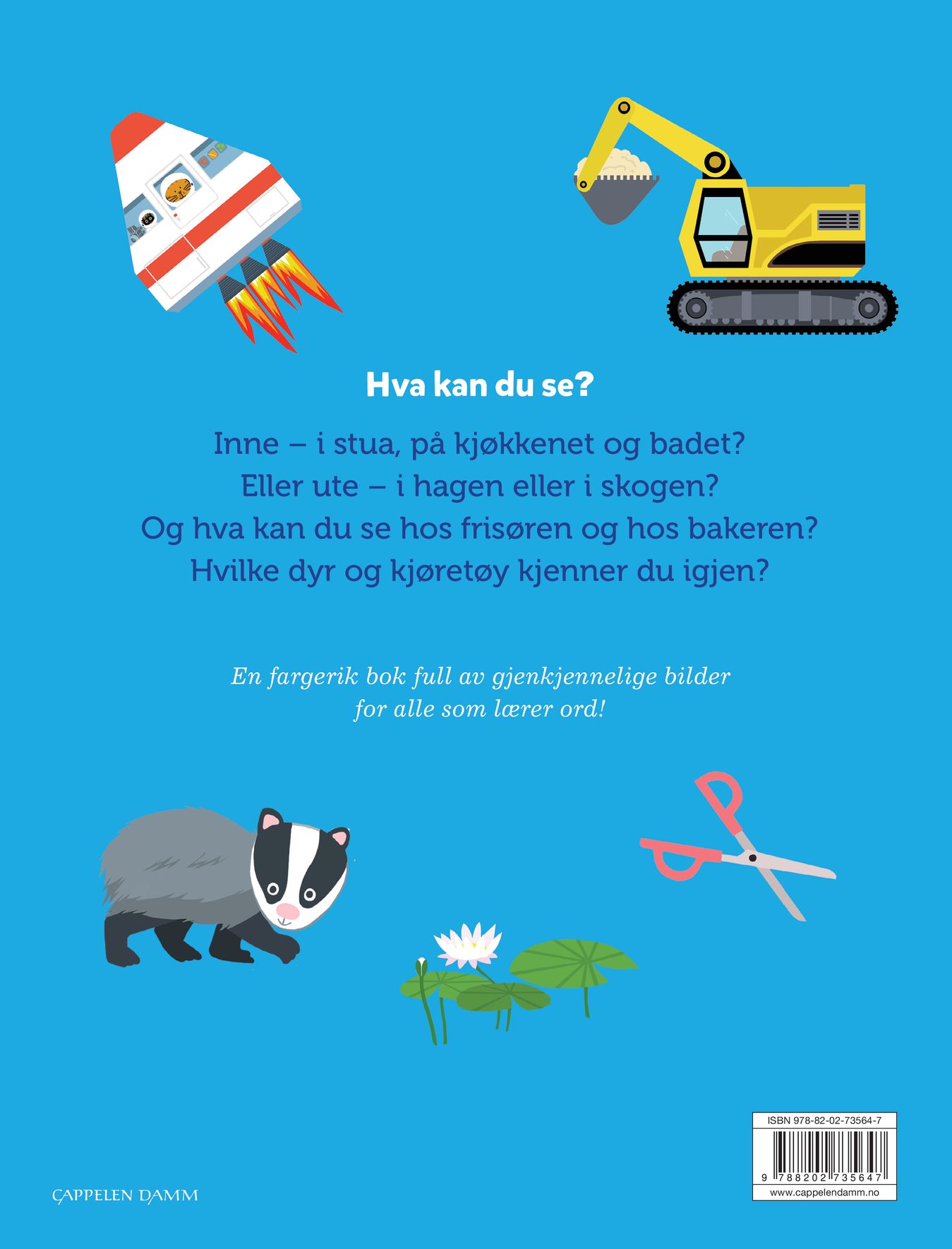 Hva kan du se?