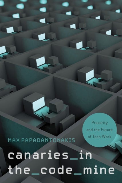 Canaries in the Code Mine - Precarity and the Future of Tech Work