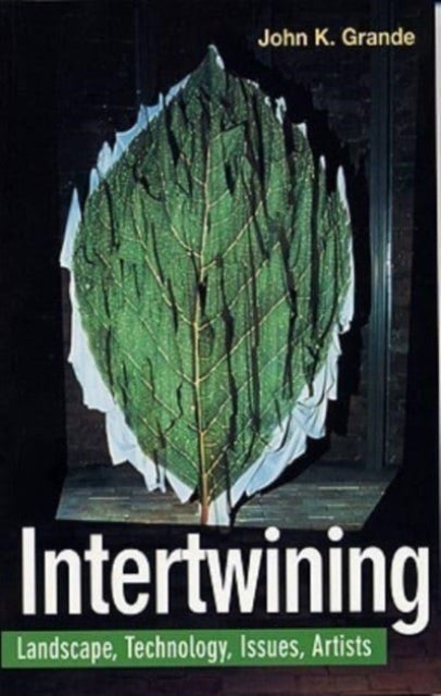 Intertwining - Landscape Technology Issues Artists