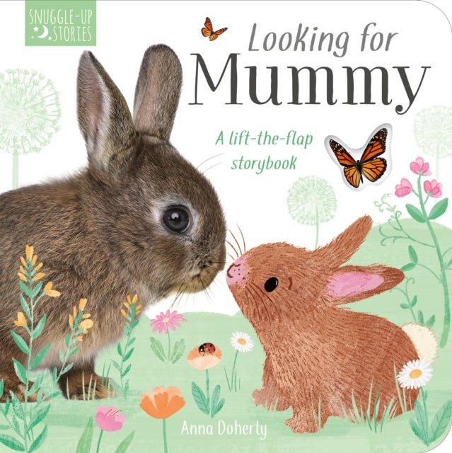 Looking for Mummy - A lift-the-flap storybook