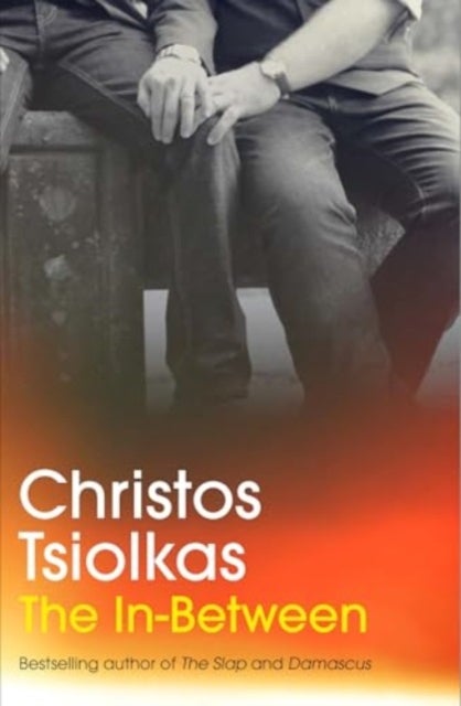 The In-Between - From the Booker Prize-longlisted author of THE SLAP