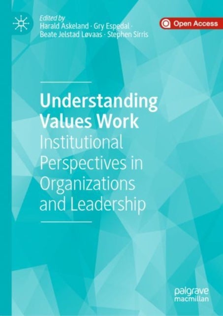 Understanding Values Work - Institutional Perspectives in Organizations and Leadership