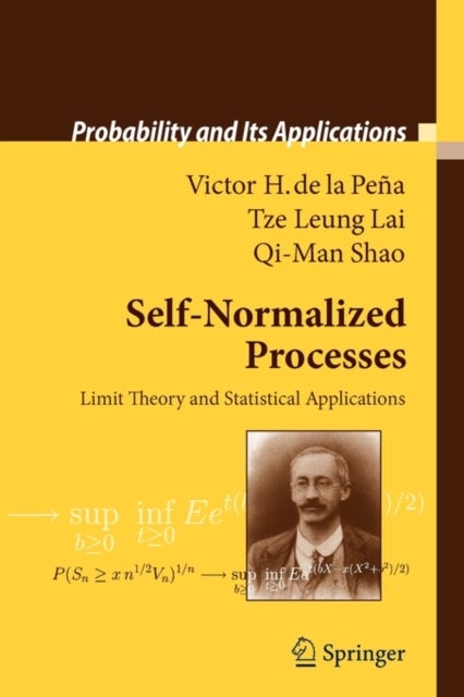 Self-Normalized Processes - Limit Theory and Statistical Applications