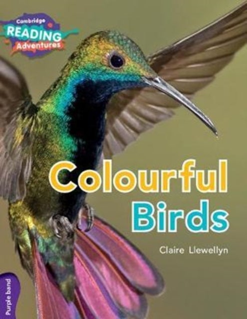 Colourful Birds, Purple Band