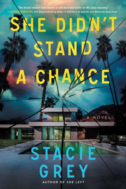 She Didn''t Stand a Chance - A Novel