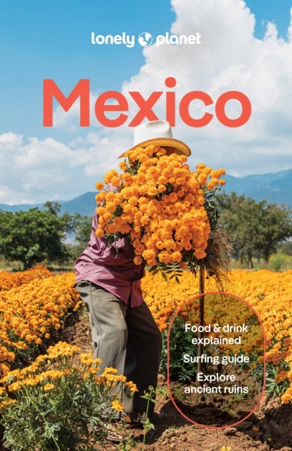 Lonely Planet Mexico - Plan the Trip of a Lifetime , Detailed Itineraries & Maps , Insider Tips , Covers ETulum, Oaxaca, Copper Canyon and more