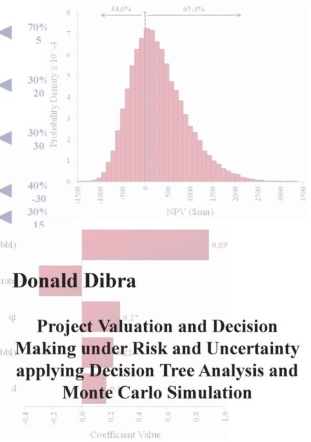 Project Valuation and Decision Making under Risk and Uncertainty applying Decision Tree Analysis and