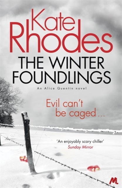 The Winter Foundlings - Alice Quentin 3