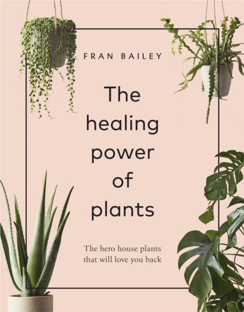 Healing Power of Plants - The Hero House Plants that Love You Back
