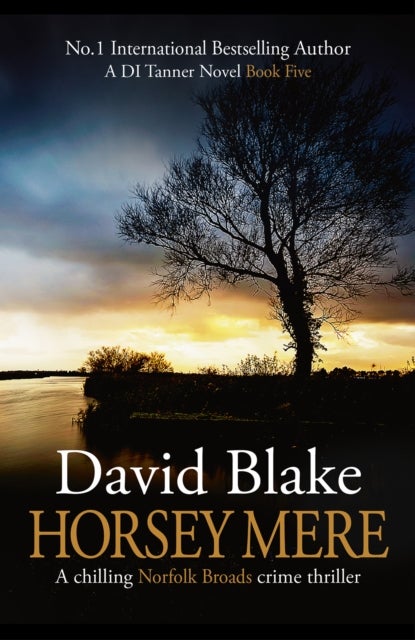 Horsey Mere - A chilling Norfolk Broads crime thriller