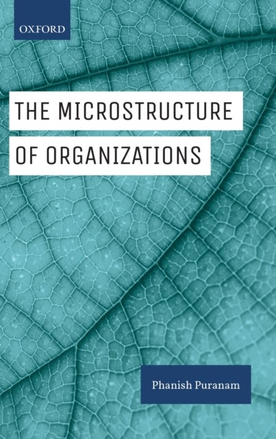 The Microstructure of Organizations