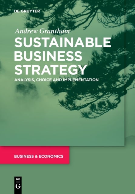 Sustainable Business Strategy - Analysis, Choice and Implementation