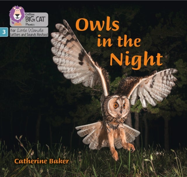 BIG CAT LW L&S _OWLS NIGHT - Phase 3 Set 2
