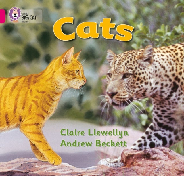 BIG CAT - CATS - Band 01b/Pink B