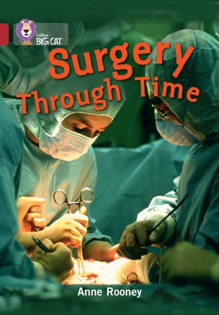 BIG CAT - SURGERY THROUGH - Band 14/Ruby