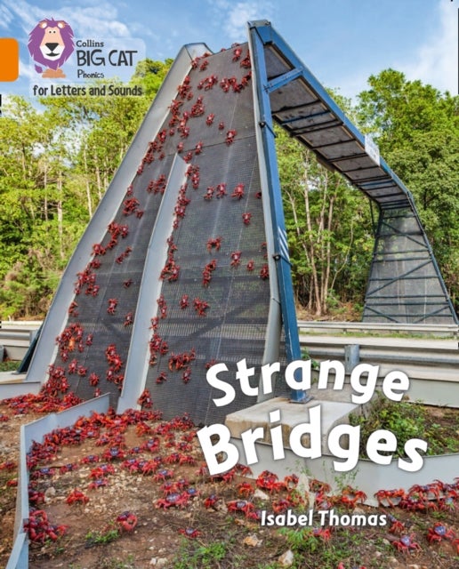 BIG CAT - STRANGE BRIDGES - Band 06/Orange