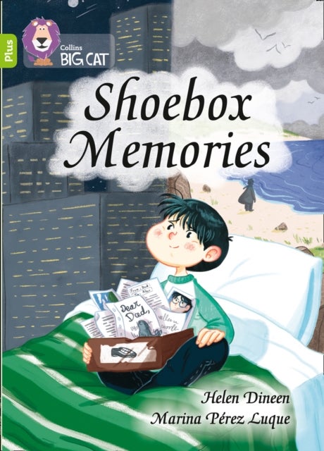 BIG CAT_SHOEBOX MEMORIES