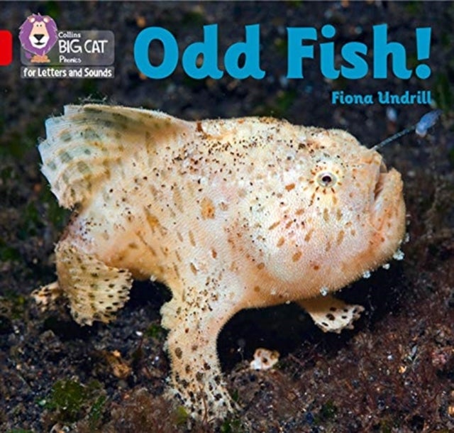 BIG CAT L&S_ ODD FISH - Band 02b/Red B