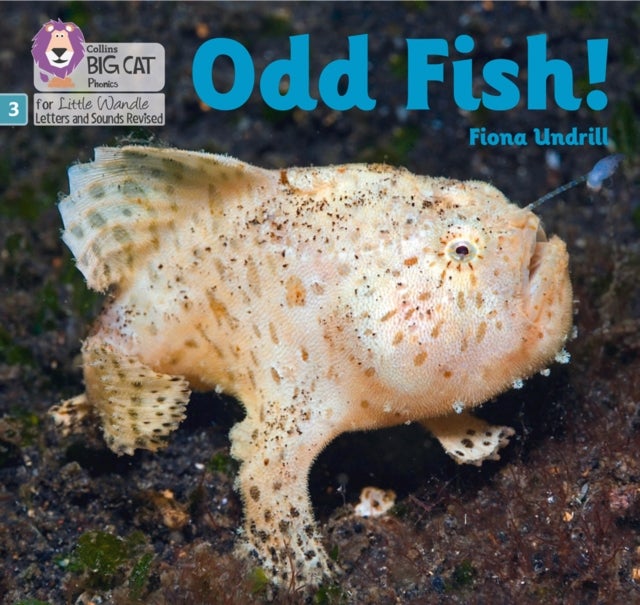 BIG CAT LW L&S _ODD FISH - Phase 3 Set 1