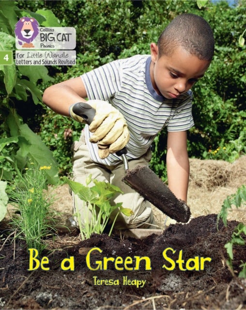 BIG CAT LW L&S_GREEN STAR - Phase 4 Set 2 Stretch and Challenge
