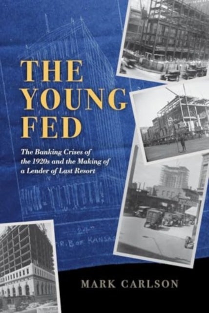 The Young Fed – The Banking Crises of the 1920s and the Making of a Lender of Last Resort
