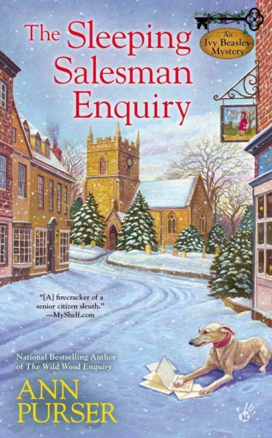 The Sleeping Salesman Enquiry - An Ivy Beasley Mystery