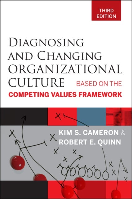 Diagnosing and Changing Organizational Culture 3e – Based on the Competing Values Framework - Based on the Competing Values Framework