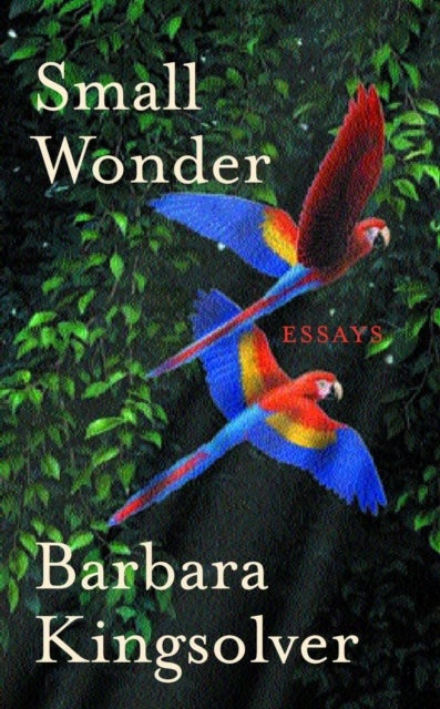Small Wonder - Author of Demon Copperhead, Winner of the Women’s Prize for Fiction