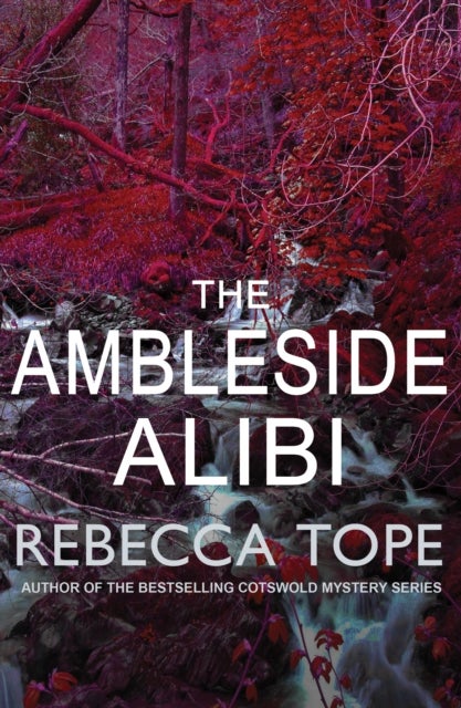 Ambleside Alibi - The gripping English cosy crime series