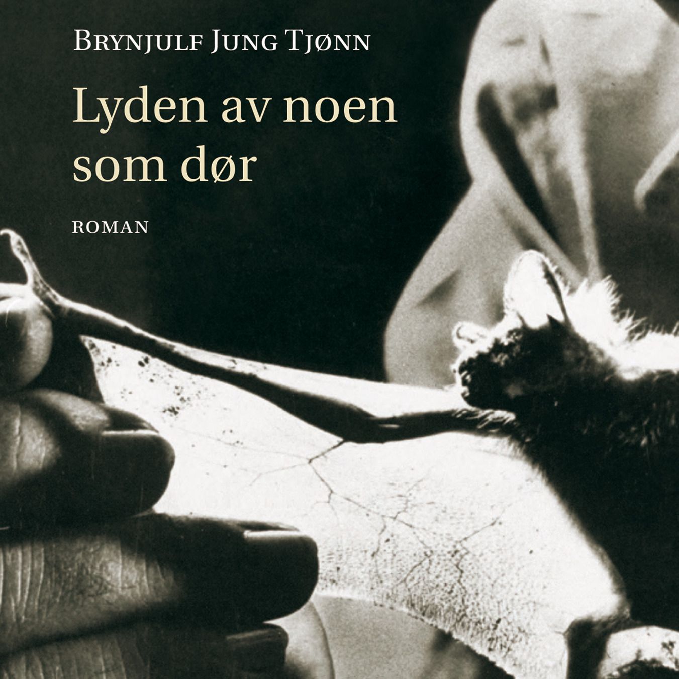 Lyden av noen som dør - roman