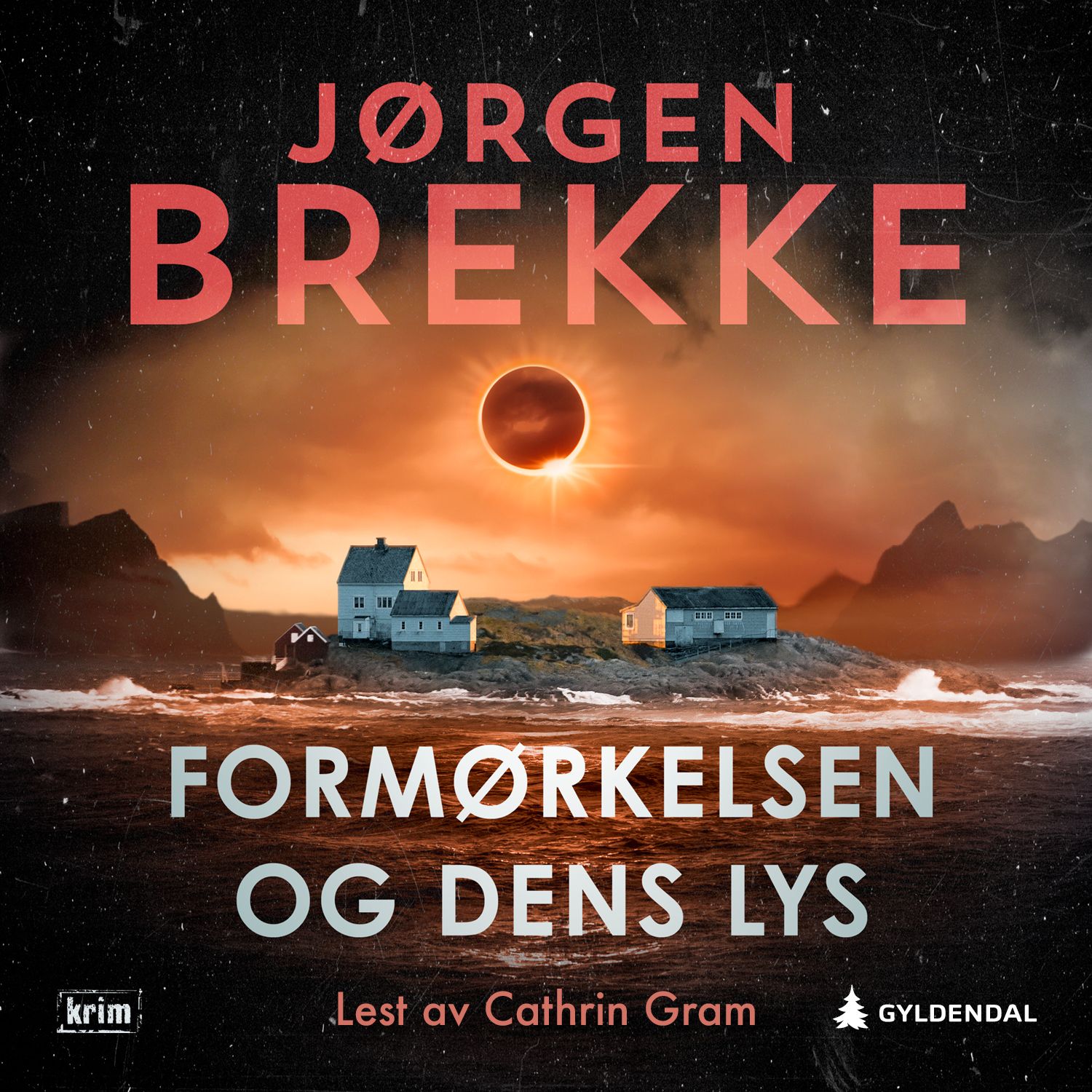 Formørkelsen og dens lys