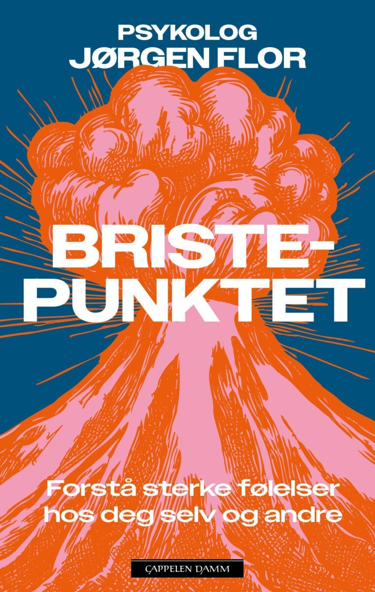 Bristepunktet