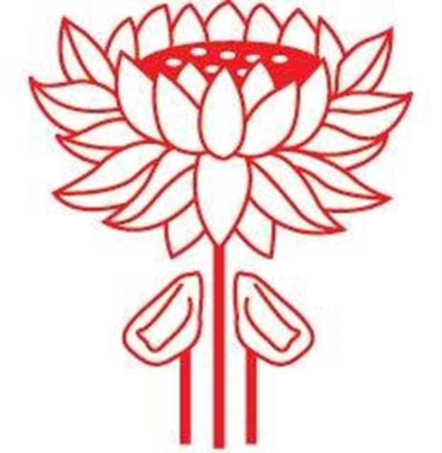 The Fifth Tiger - Study of Thai Development Policy