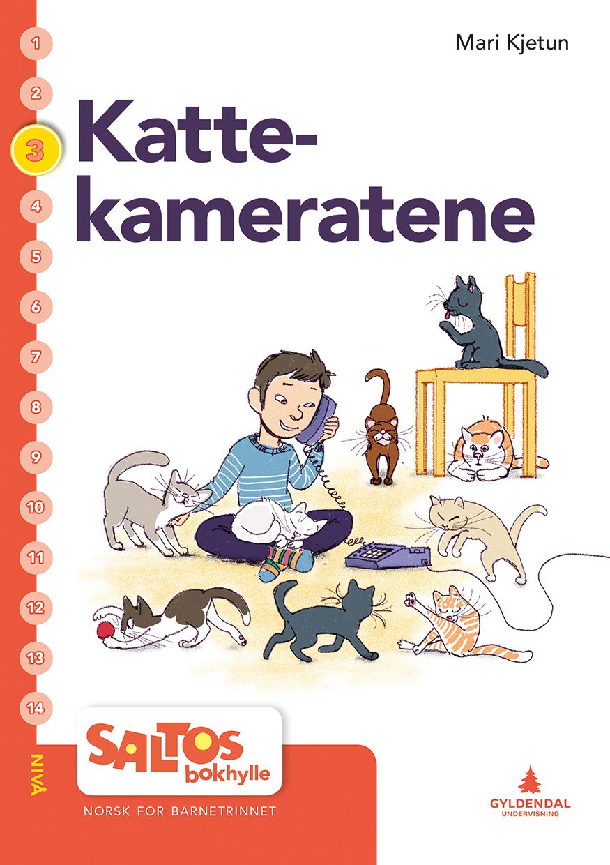 Kattekameratene - nivå 3-4 : norsk for barnetrinnet