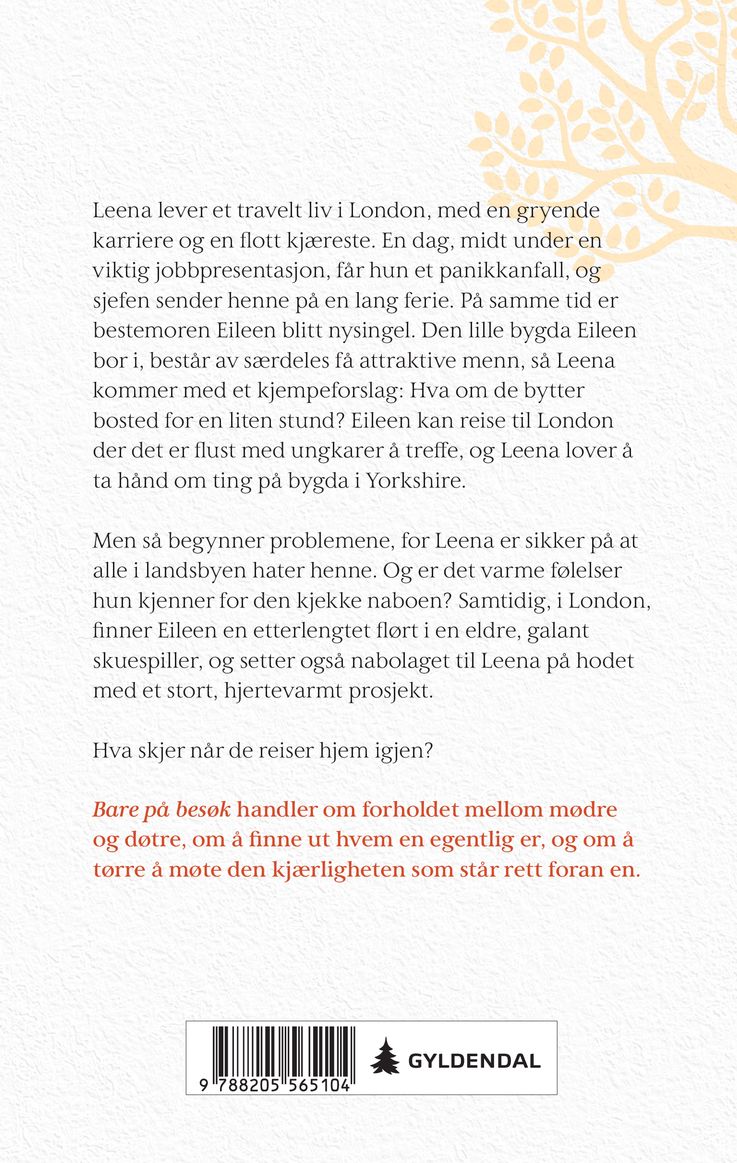 Bare på besøk