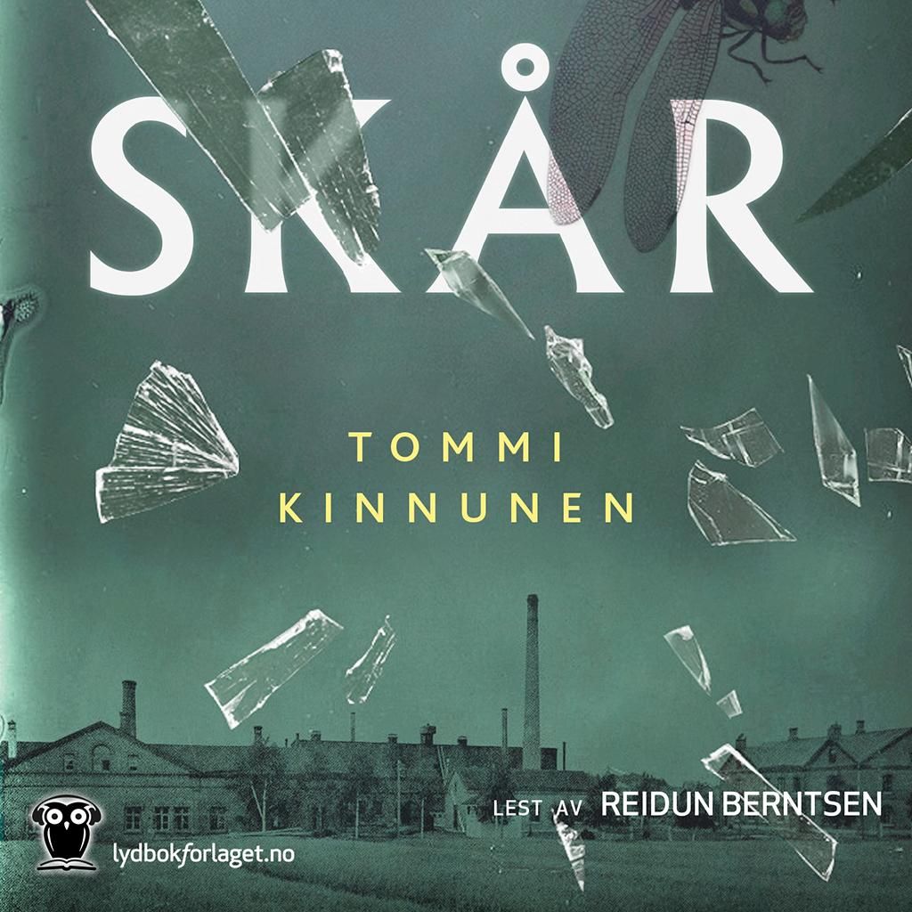 Skår