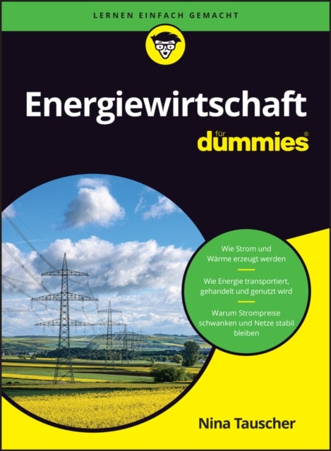 Energiewirtschaft fur Dummies