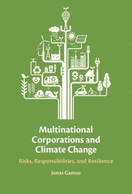Multinational Corporations and Climate Change - Risks, Responsibilities, and Resilience