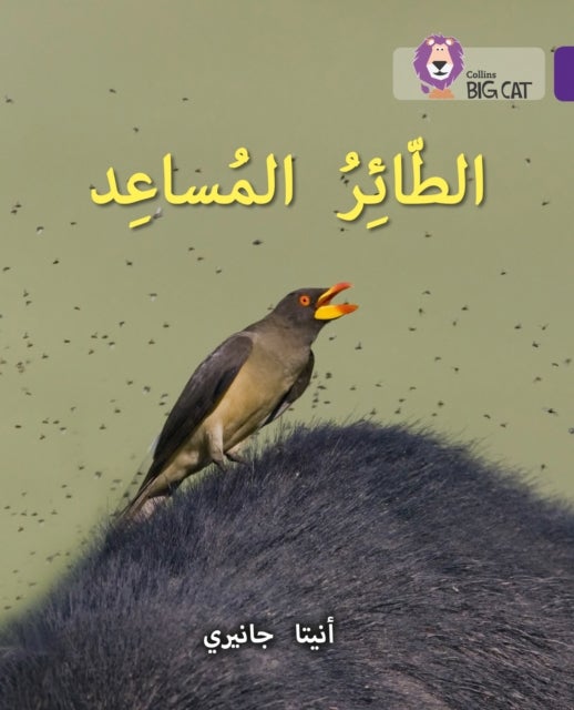 BIG CAT ARABIC - HELPER BIRD - Level 8
