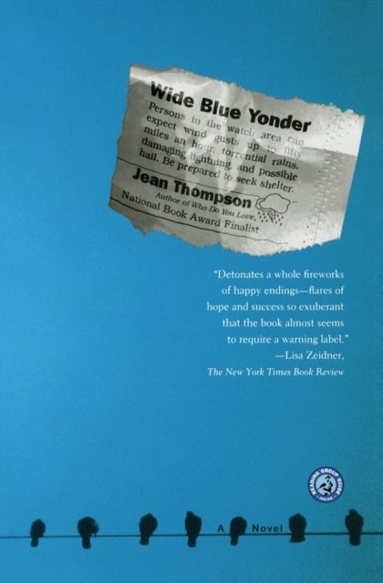 Wide Blue Yonder - A Novel