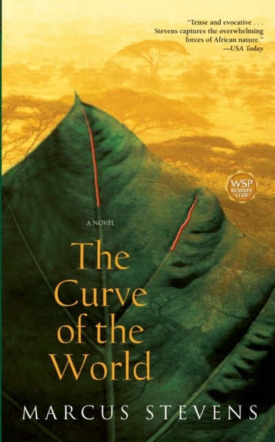 The Curve of the World