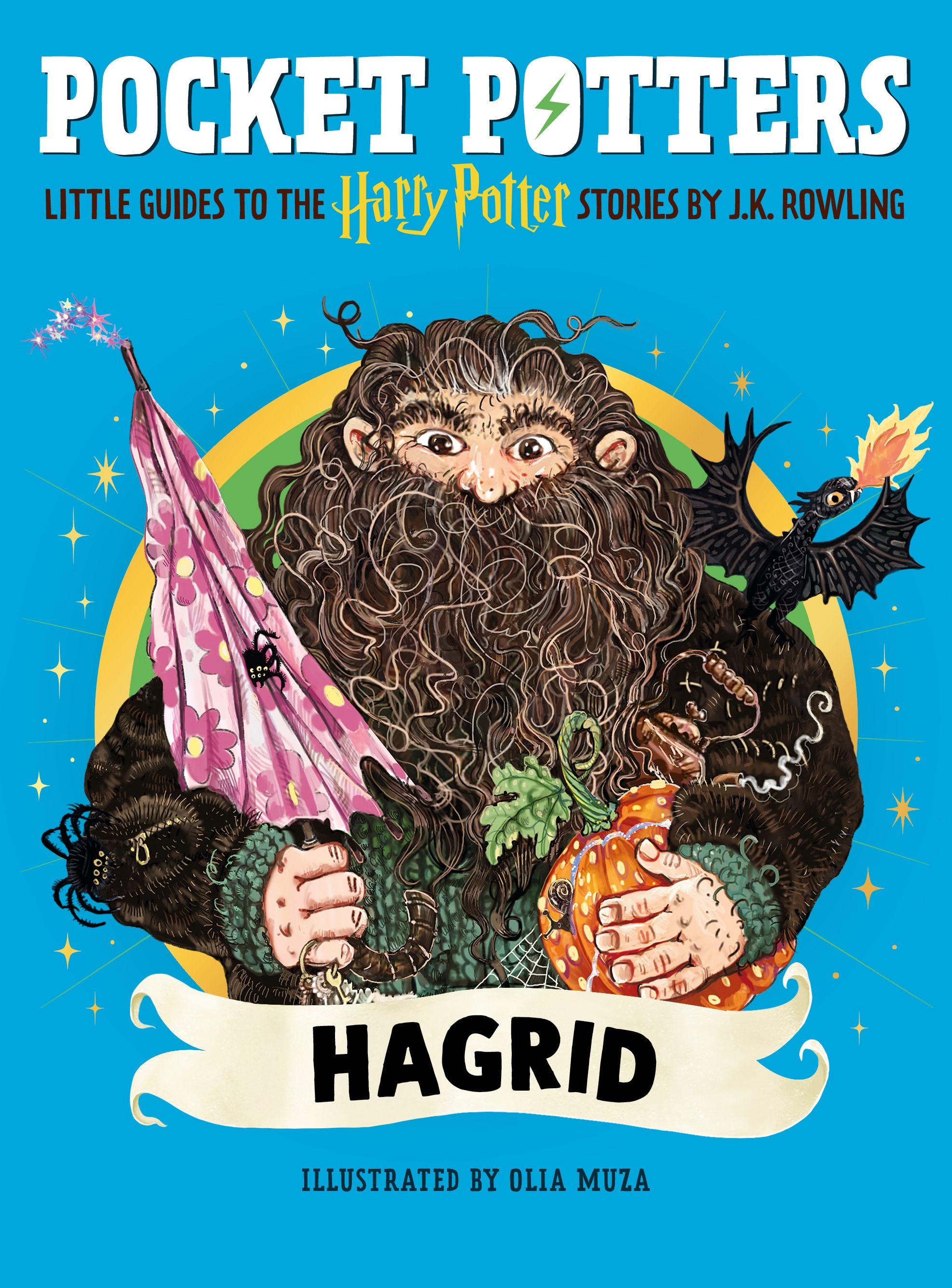 Hagrid - little guides to the Harry Potter stories