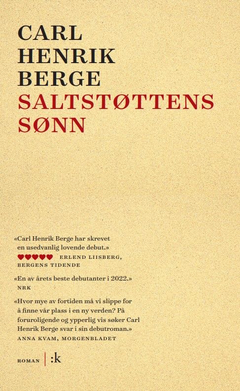 Saltstøttens sønn - roman