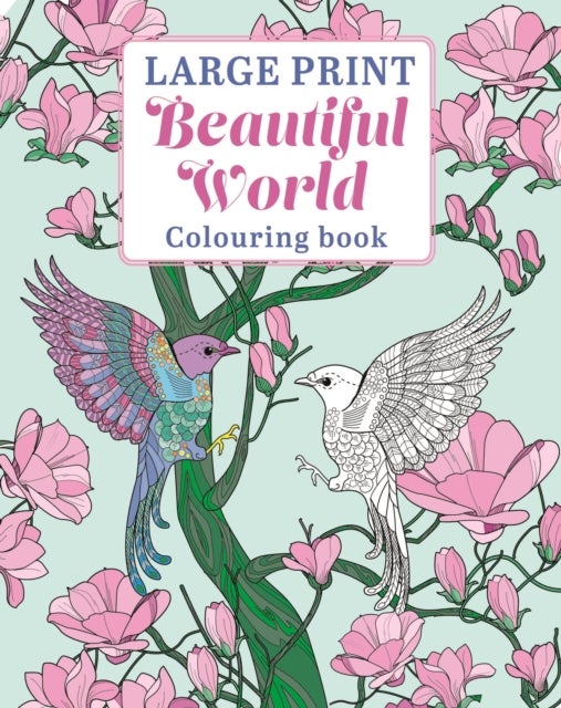 Large Print Beautiful World Colouring Book