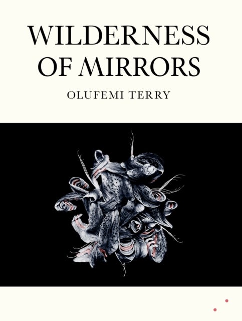 Wilderness of Mirrors