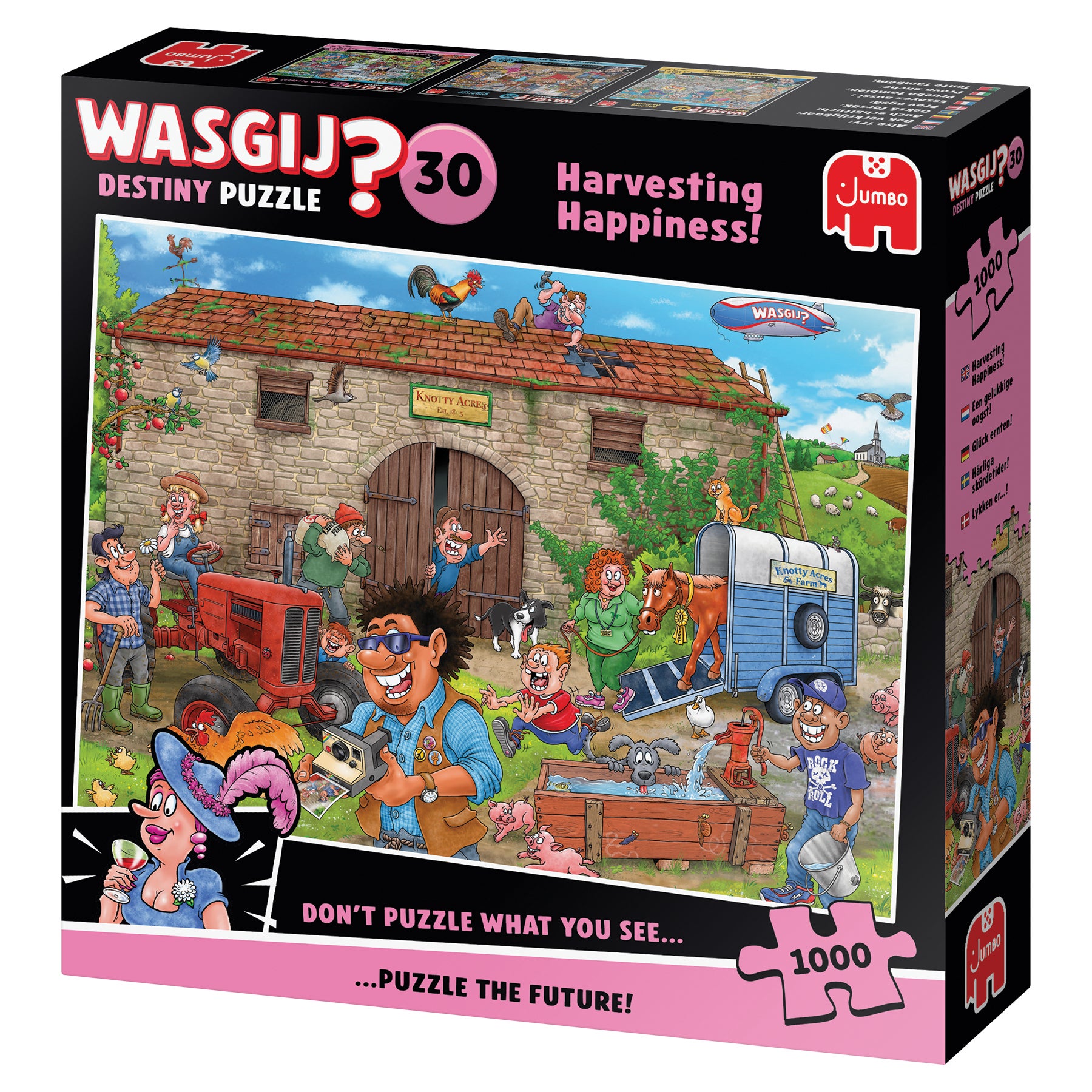 Puslespill 1000 Wasgij Happiness
